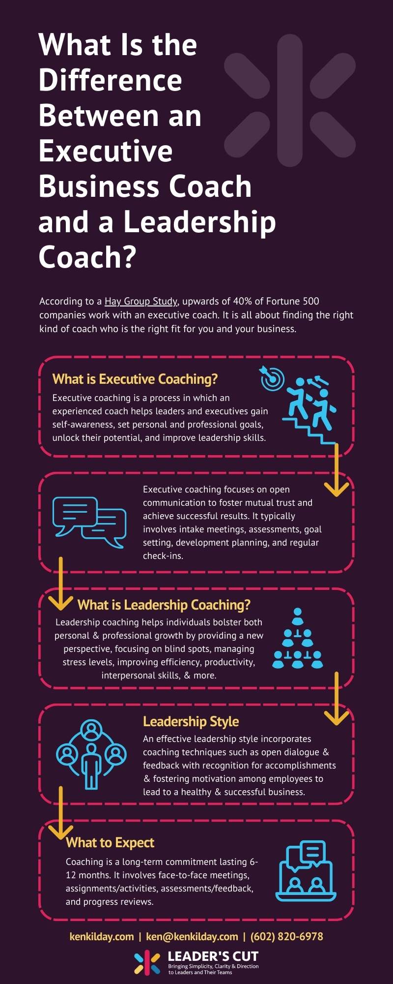 Executive Coaching Infographic