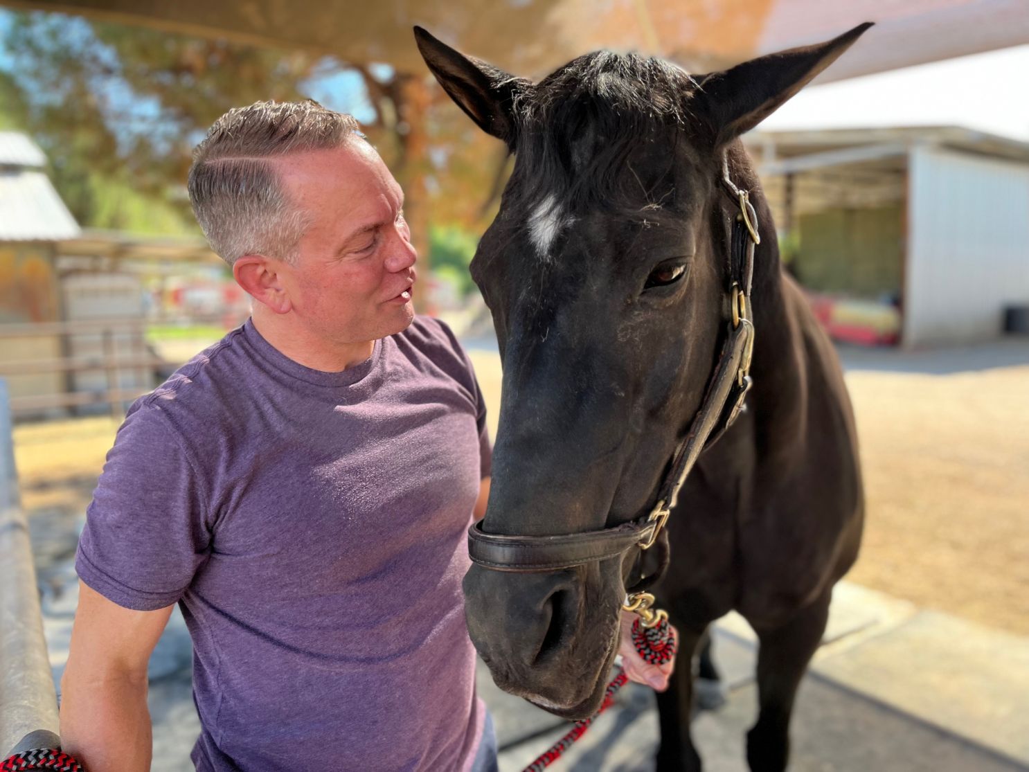 picture of ken kilday talking to colby the horse
