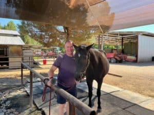 Ken Kilday Equine