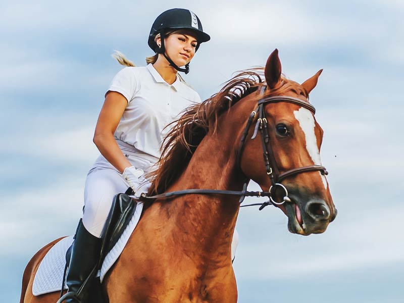 Professional rider on horseback